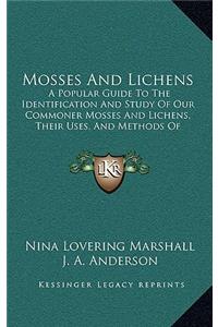 Mosses And Lichens
