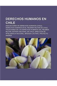 Derechos Humanos En Chile: Asociaciones de Derechos Humanos (Chile), Derechos Humanos En El Regimen Militar de Chile