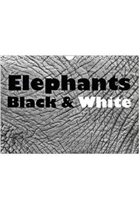 Elephants Black & White 2017