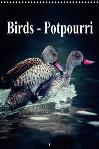 Birds - Potpourri 2017