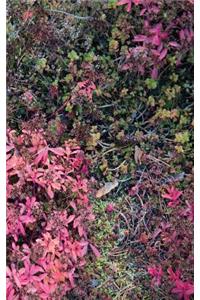 Autumn Ground III - Sweden - Photo Art Notebooks (5 x 8 series)