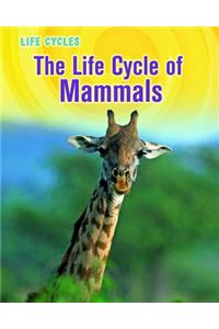 Life Cycles Life Cycle of Mammals