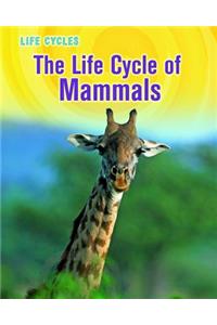 The Life Cycle of Mammals