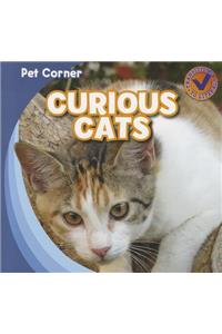 Curious Cats
