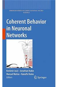 Coherent Behavior in Neuronal Networks