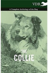 Collie - A Complete Anthology of the Dog -