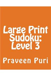 Large Print Sudoku