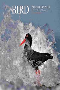 BIRD PHOTOGRAPHER OF THE YEAR SQUARE WAL