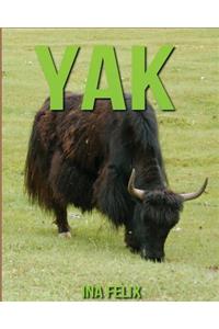 Yak