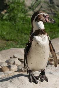 Humboldt Penguin Journal