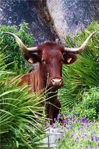 A Handsome Spanish Bull in the Hills Journal