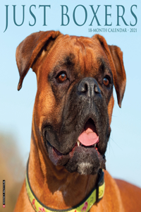 Just Boxers 2021 Wall Calendar (Dog Breed Calendar)