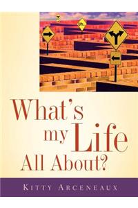 What's My Life All About?