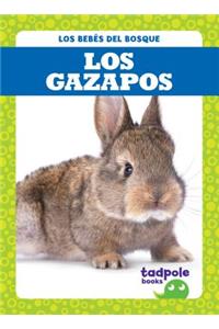 Los Gazapos (Rabbit Kits)