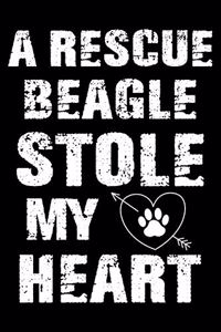 A Rescue Beagle Stole My Heart