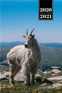 Goat Farmer Farming Herder Goatherd Week Planner Weekly Organizer Calendar 2020 / 2021 - Flower Meadow