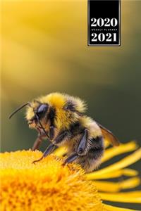 Bee Insects Beekeeping Beekeeper Week Planner Weekly Organizer Calendar 2020 / 2021 - On Yellow Flower