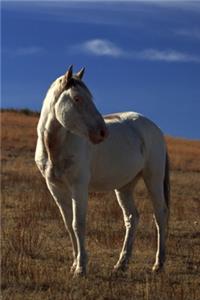 2020 Daily Planner Horse Photo Equine Standing Horse 388 Pages