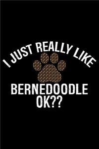 I Just Really Like Bernedoodle Ok?