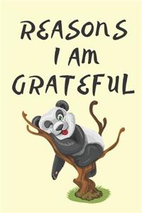 Reasons I Am Grateful