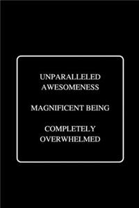 Unparalleled Awesomeness Magnificent Being Completely Overwhelmed