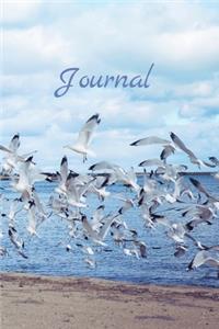 Journal: Sea Gulls on Beach