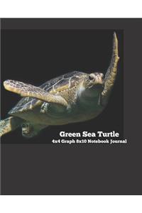 Green Sea Turtle 4x4 Graph 8x10 Notebook Journal