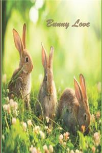 Bunny Love