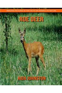 Roe Deer: Amazing Pictures & Fun Facts on Animals in Nature