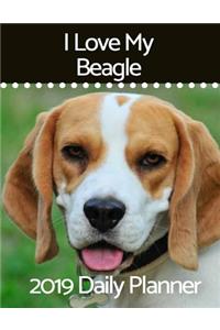 I Love My Beagle