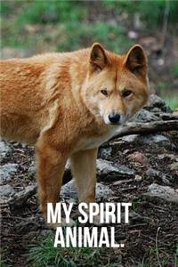My Spirit Animal