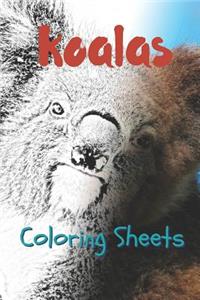 Koala Coloring Sheets
