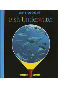Let's Look at Fish Underwater