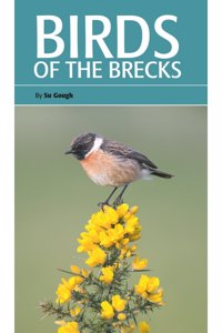 Birds of the Brecks