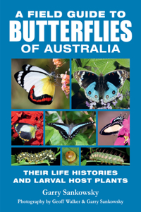 Field Guide to Butterflies of Australia