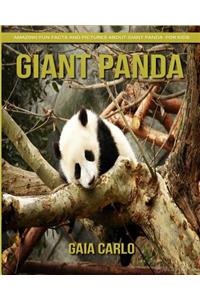 Giant Panda