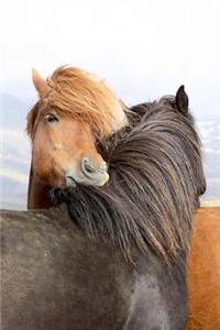 Iceland Horses Notebook