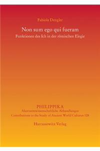 Non Sum Ego Qui Fueram