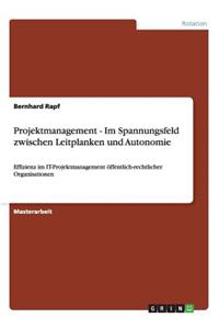 Projektmanagement - Im Spannungsfeld zwischen Leitplanken und Autonomie