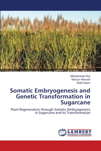 Somatic Embryogenesis and Genetic Transformation in Sugarcane