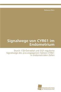 Signalwege von CYR61 im Endometrium