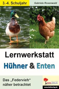 Lernwerkstatt Huhner & Enten / Grundschule: Das 