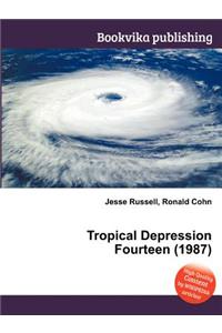 Tropical Depression Fourteen (1987)