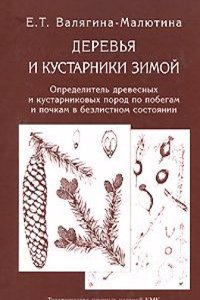 Pius IX. als Papst und als Koenig, dargestellt aus den Acten seines Pontificates