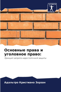 Основные права и уголовное право