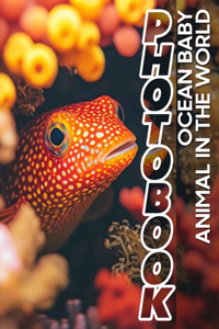 Ocean Baby Animal In The World Photo Book