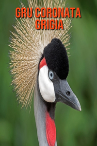 Gru coronata grigia