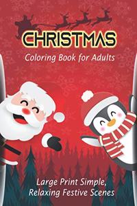 Christmas coloring book for adults