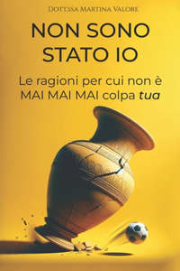 Non sono stato io