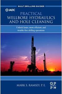 Practical Wellbore Hydraulics and Hole Cleaning